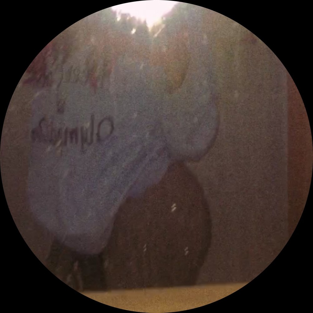 Meet your Posher, Ziyah